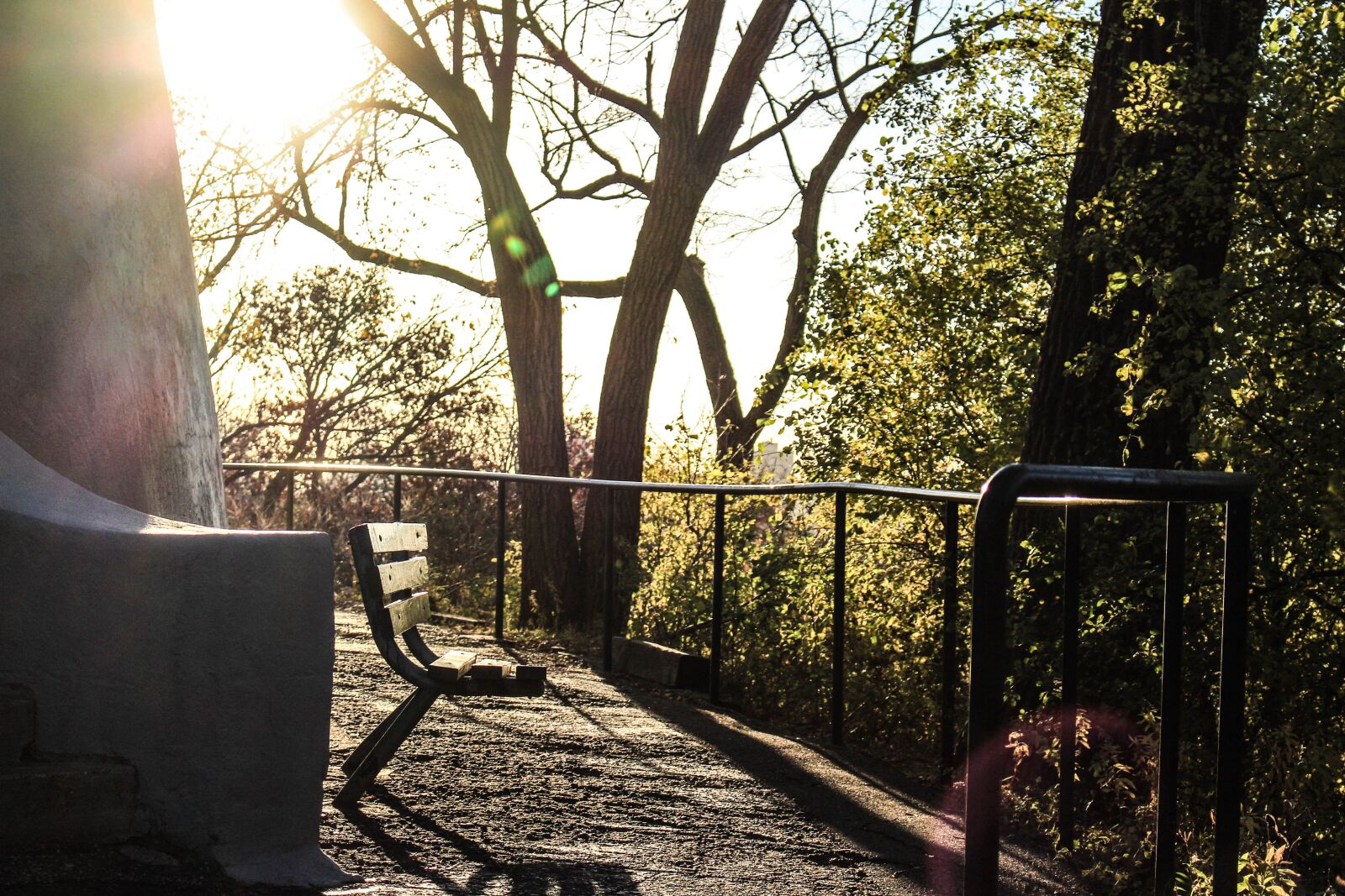 Canon EOS 700D (EOS Rebel T5i / EOS Kiss X7i) sample photo. Bench, sunlight, sunny photography