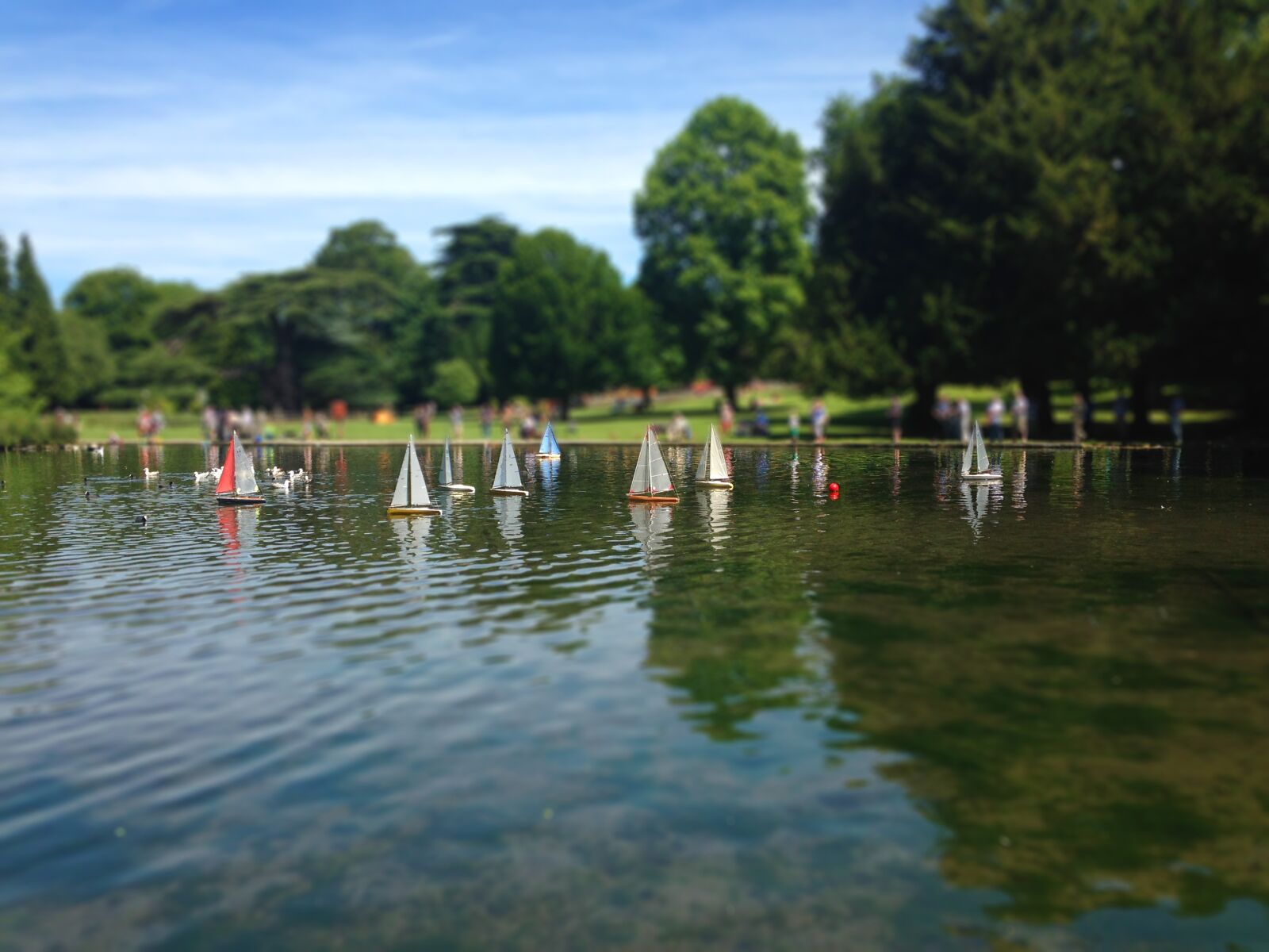 iPhone 5c back camera 4.12mm f/2.4 sample photo. Boats, park, remote controlled photography