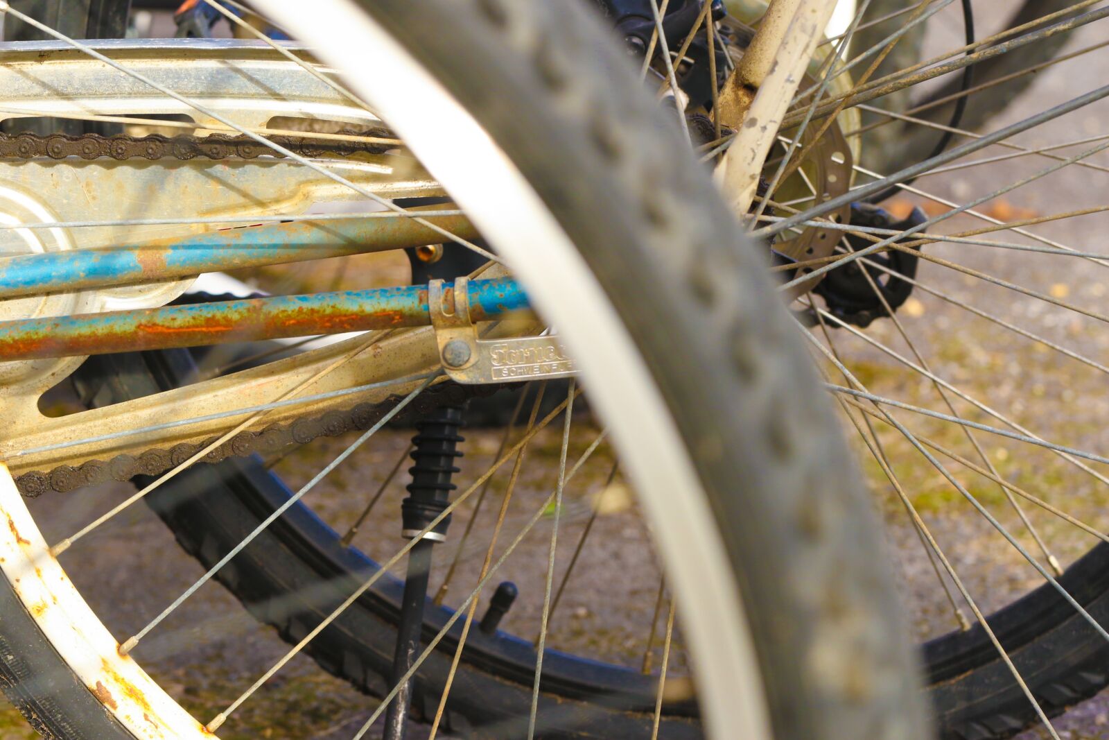 Canon EOS 7D Mark II sample photo. Cycle, bicycle, bike photography