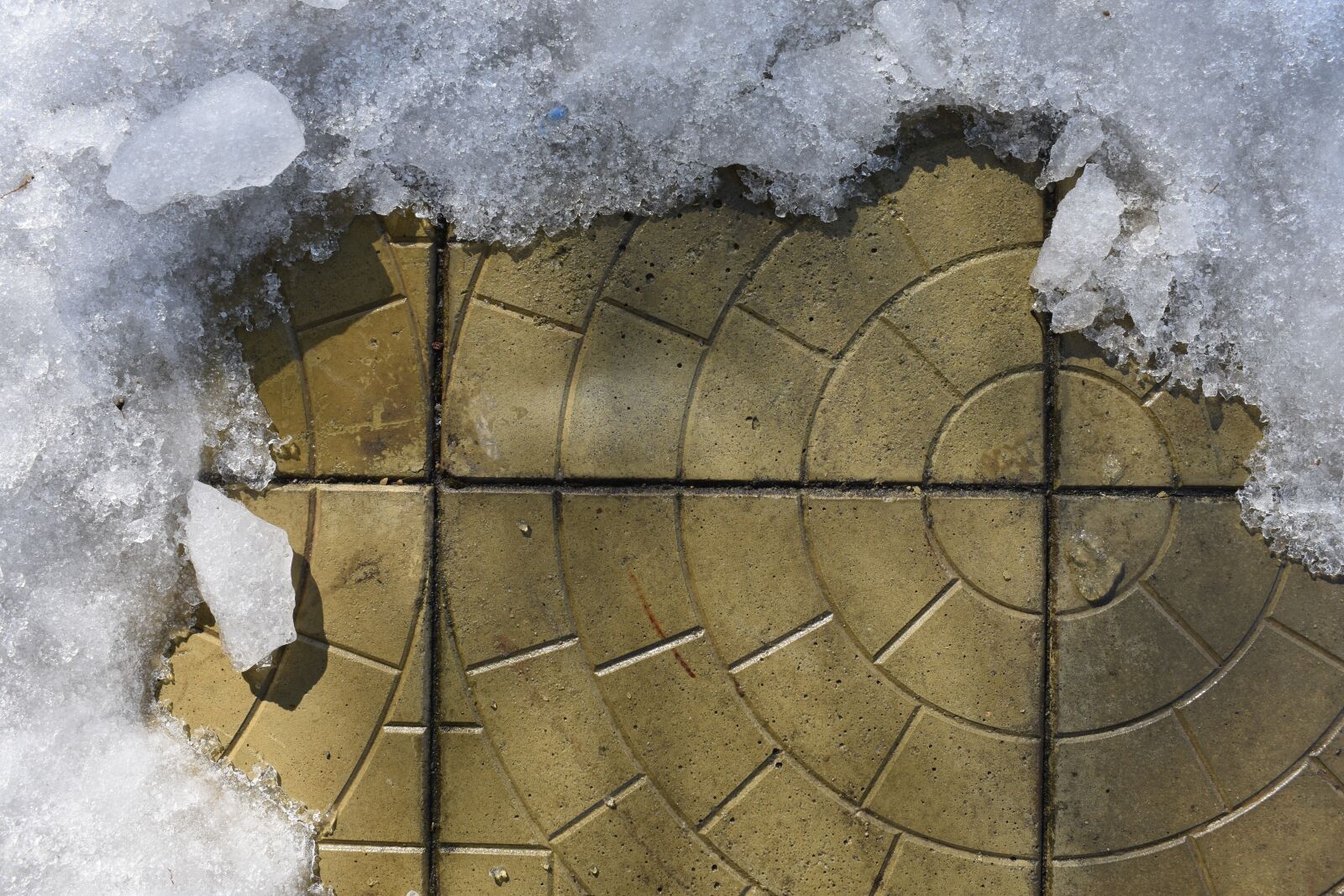 Nikon D3400 sample photo. Spring, tile, paving photography