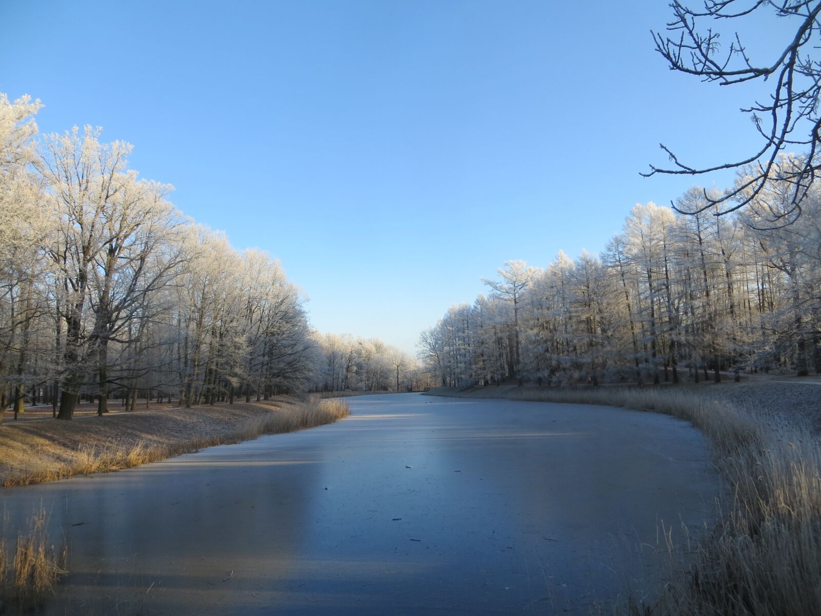 Canon PowerShot SX240 HS sample photo. Pond, winter, landscape photography