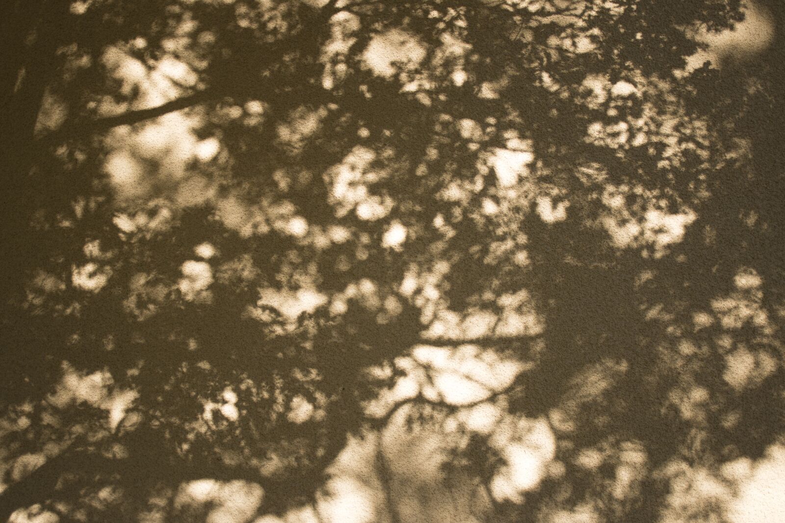 Canon EF 35mm F2 sample photo. Light, shadow, wall photography