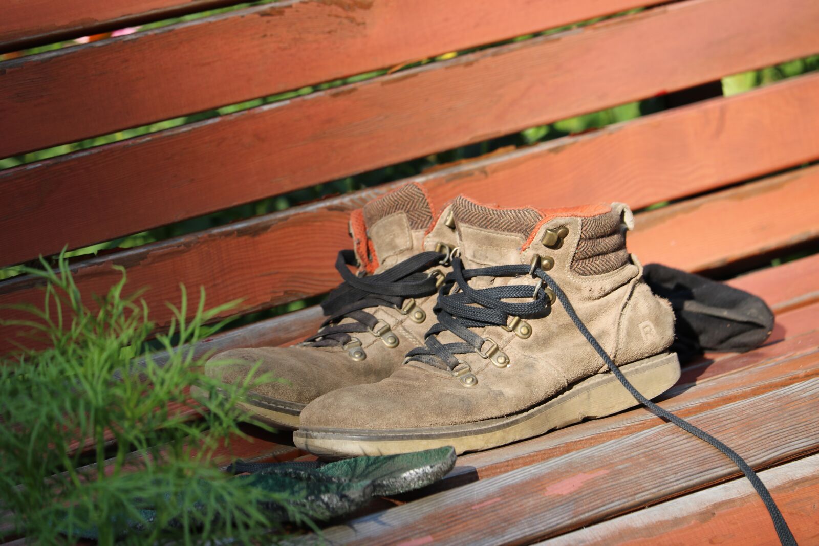 Canon EOS 760D (EOS Rebel T6s / EOS 8000D) sample photo. Shoe, park, city photography