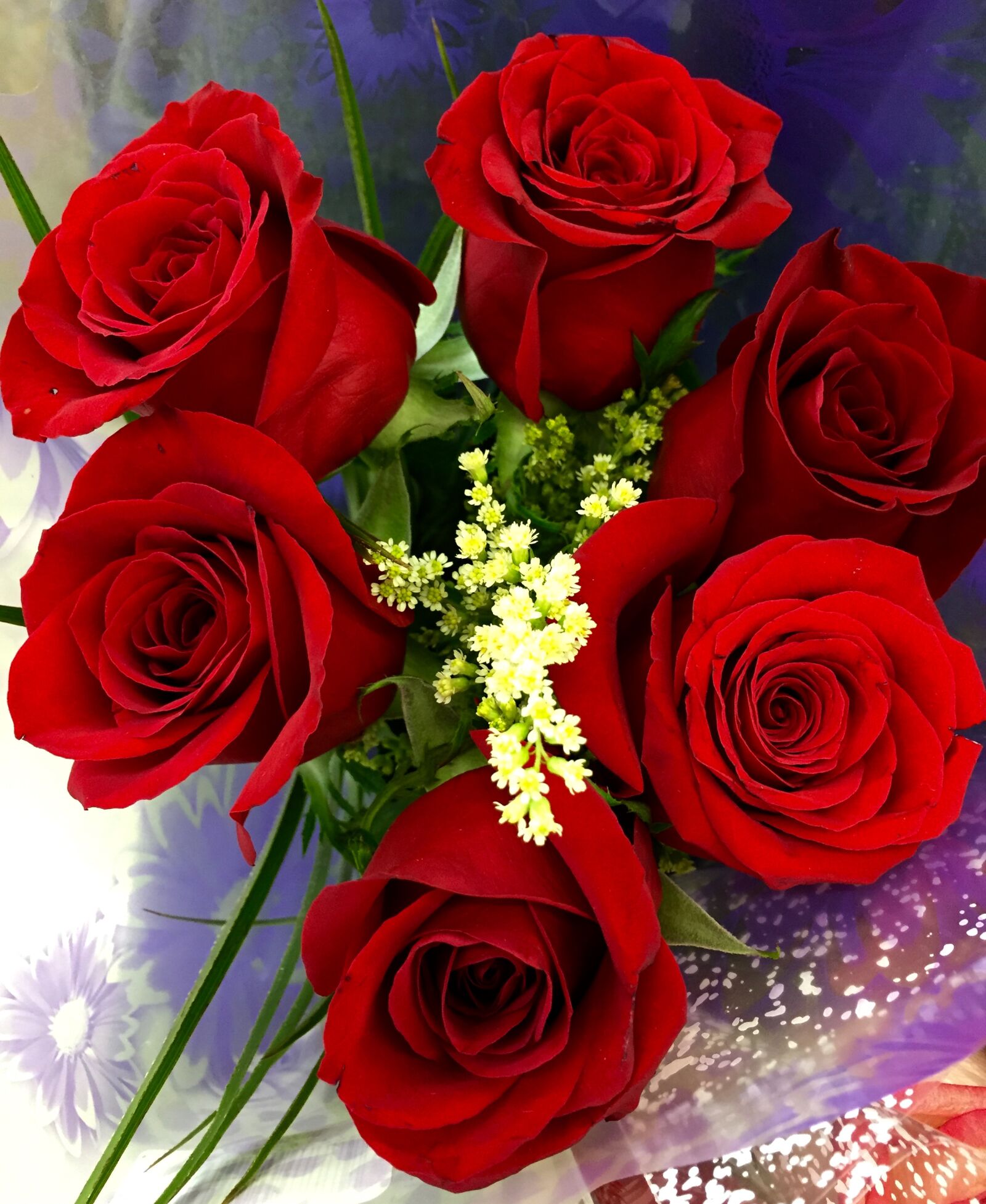 iPhone 6 Plus back camera 4.15mm f/2.2 sample photo. Bouquet, flowers, love, nature photography