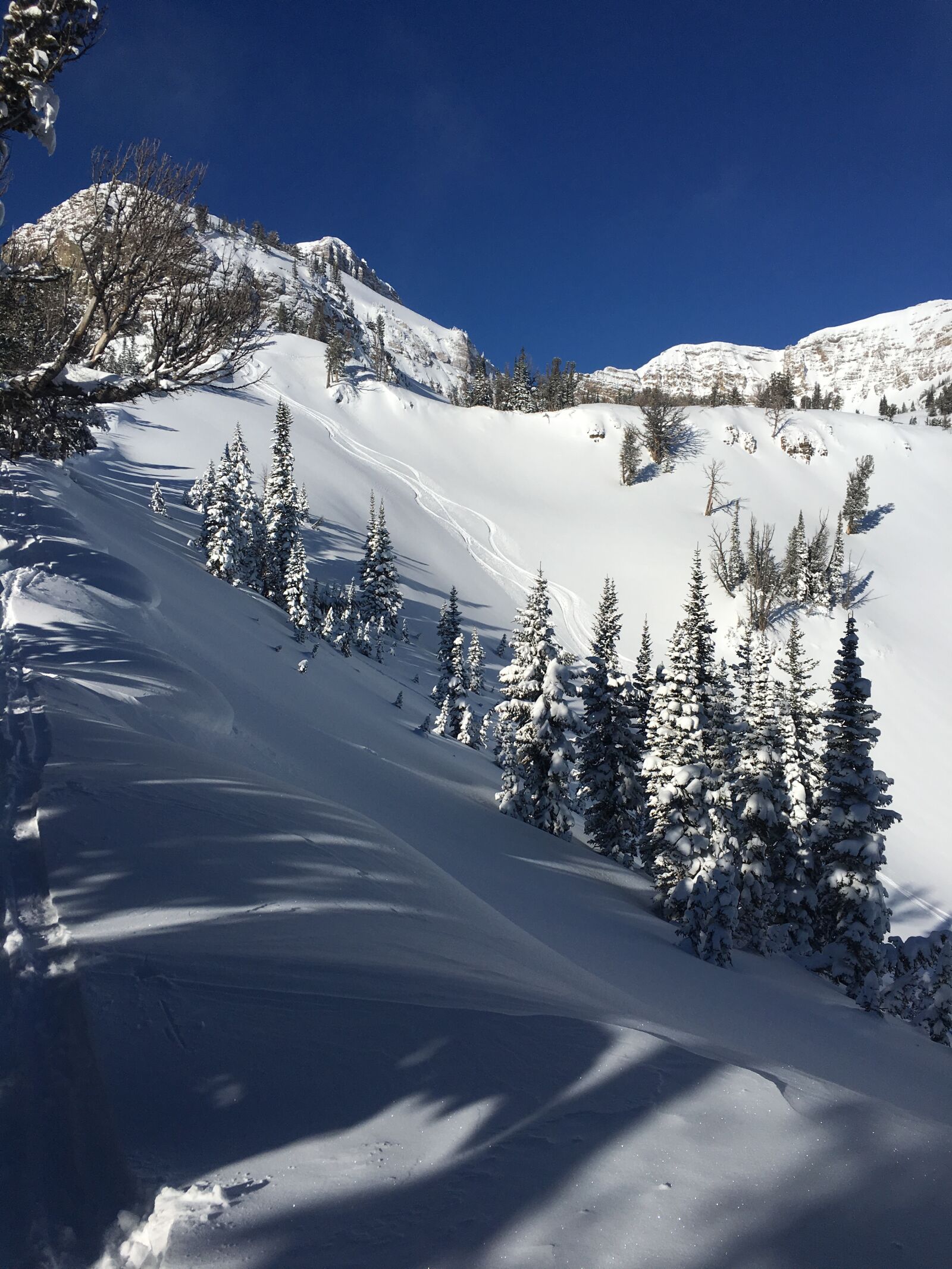 iPhone 6s back camera 4.15mm f/2.2 sample photo. Rockymountains, winterpow, mexicoski photography