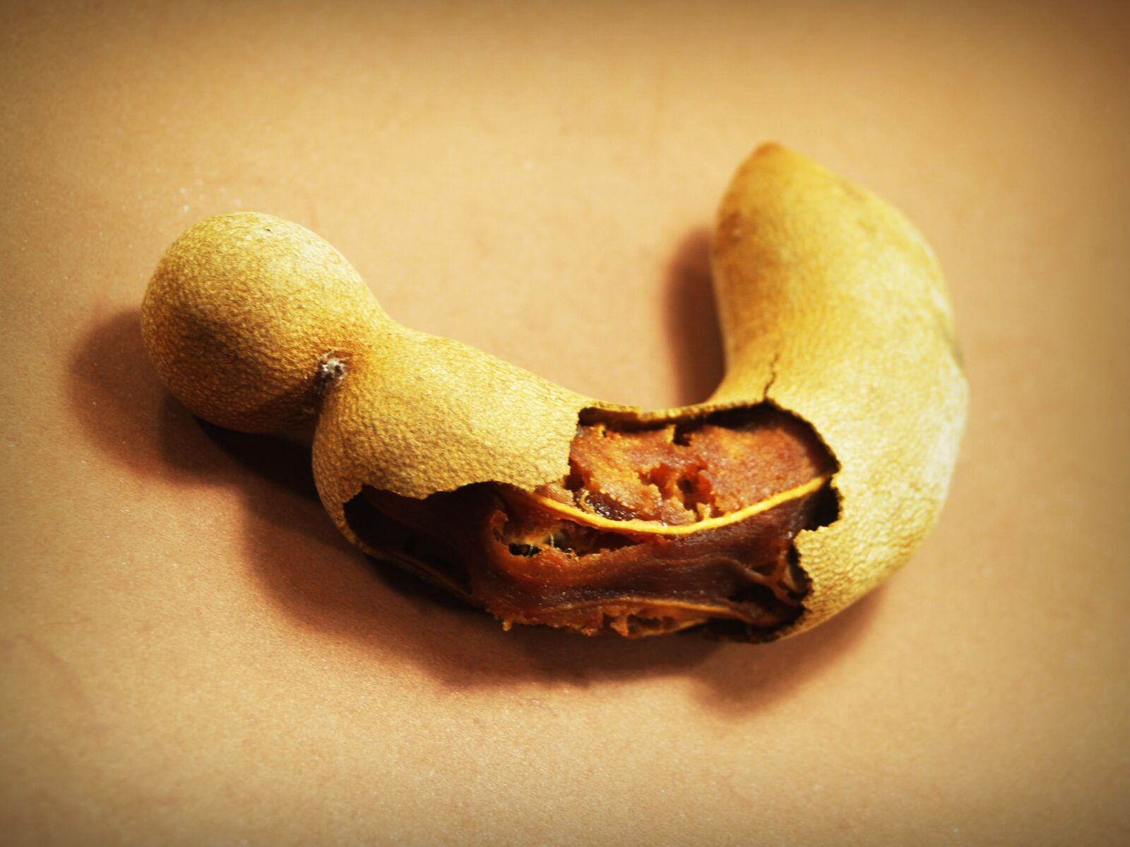 Olympus E-300 (EVOLT E-300) sample photo. Tamarind, isolated, ripe photography