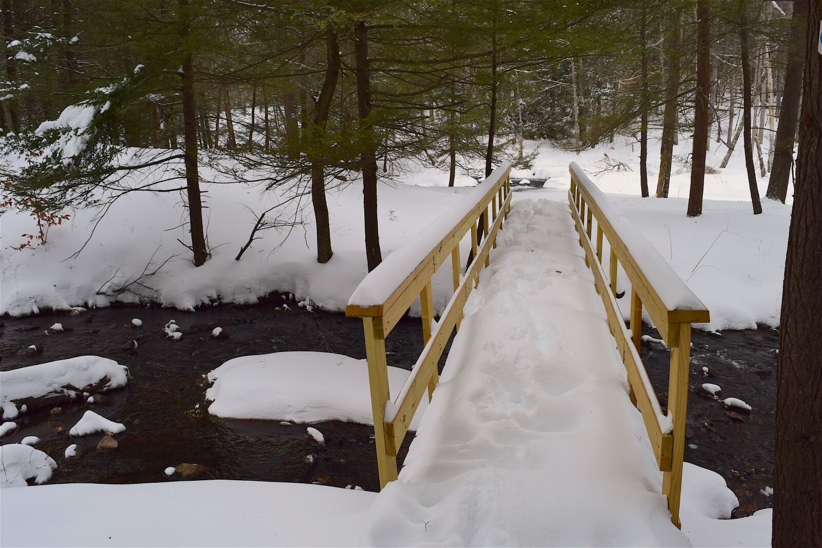 Nikon D3300 sample photo. Bridge, snow, forest photography