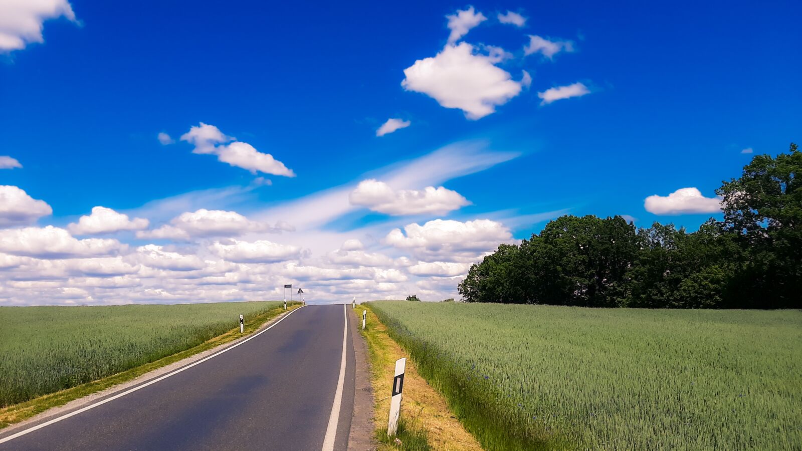 Samsung Galaxy A50 sample photo. Road, landscape, summer photography