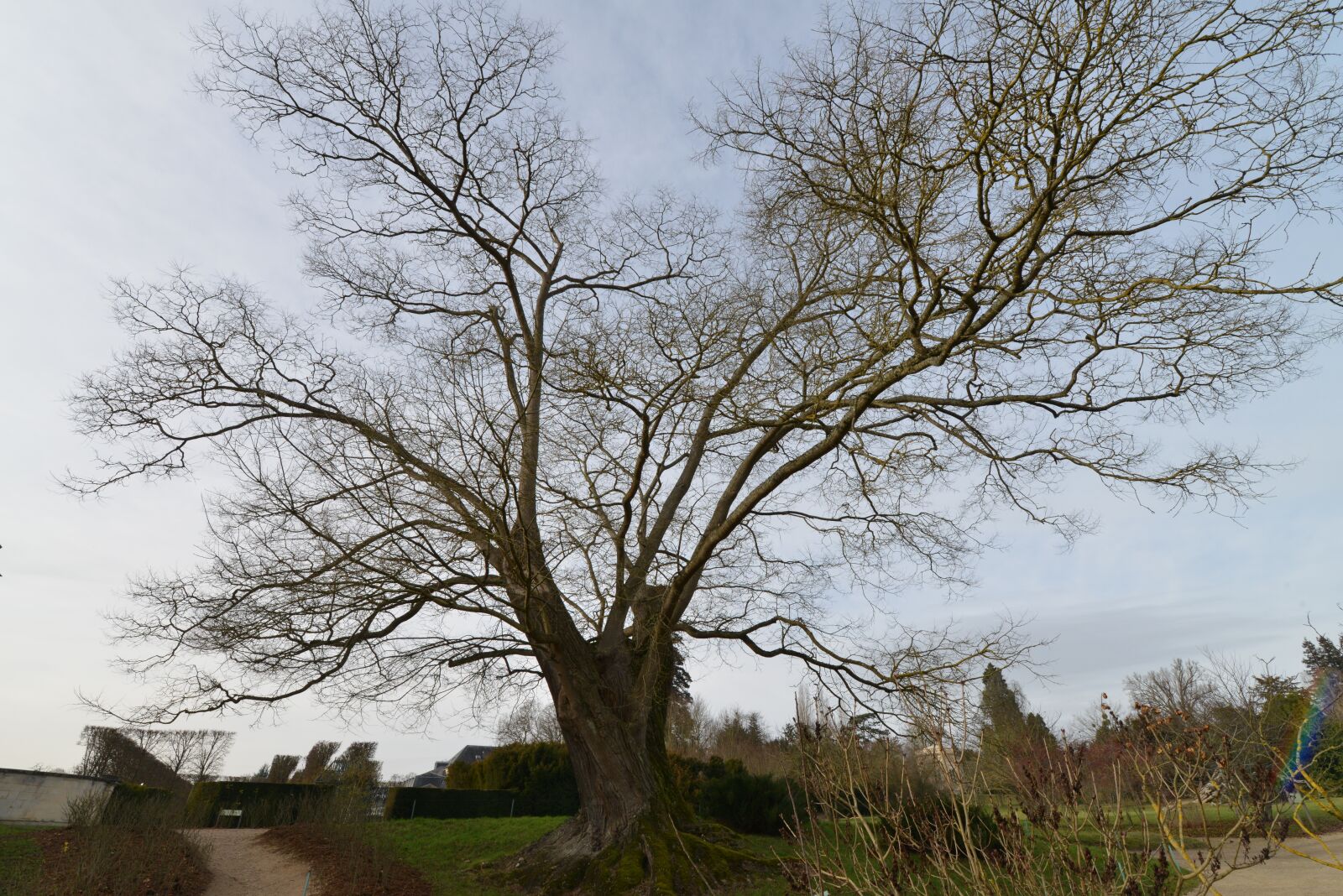 Nikon D800 sample photo. Wood, park, autumn photography