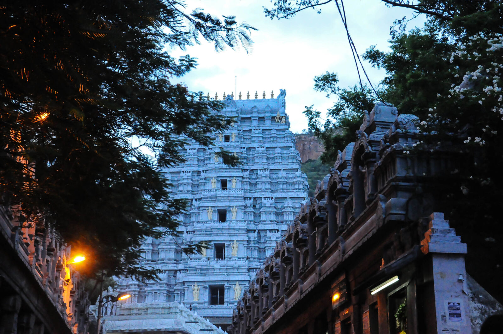 Nikon D90 sample photo. Temple, of, thirupathi, my photography