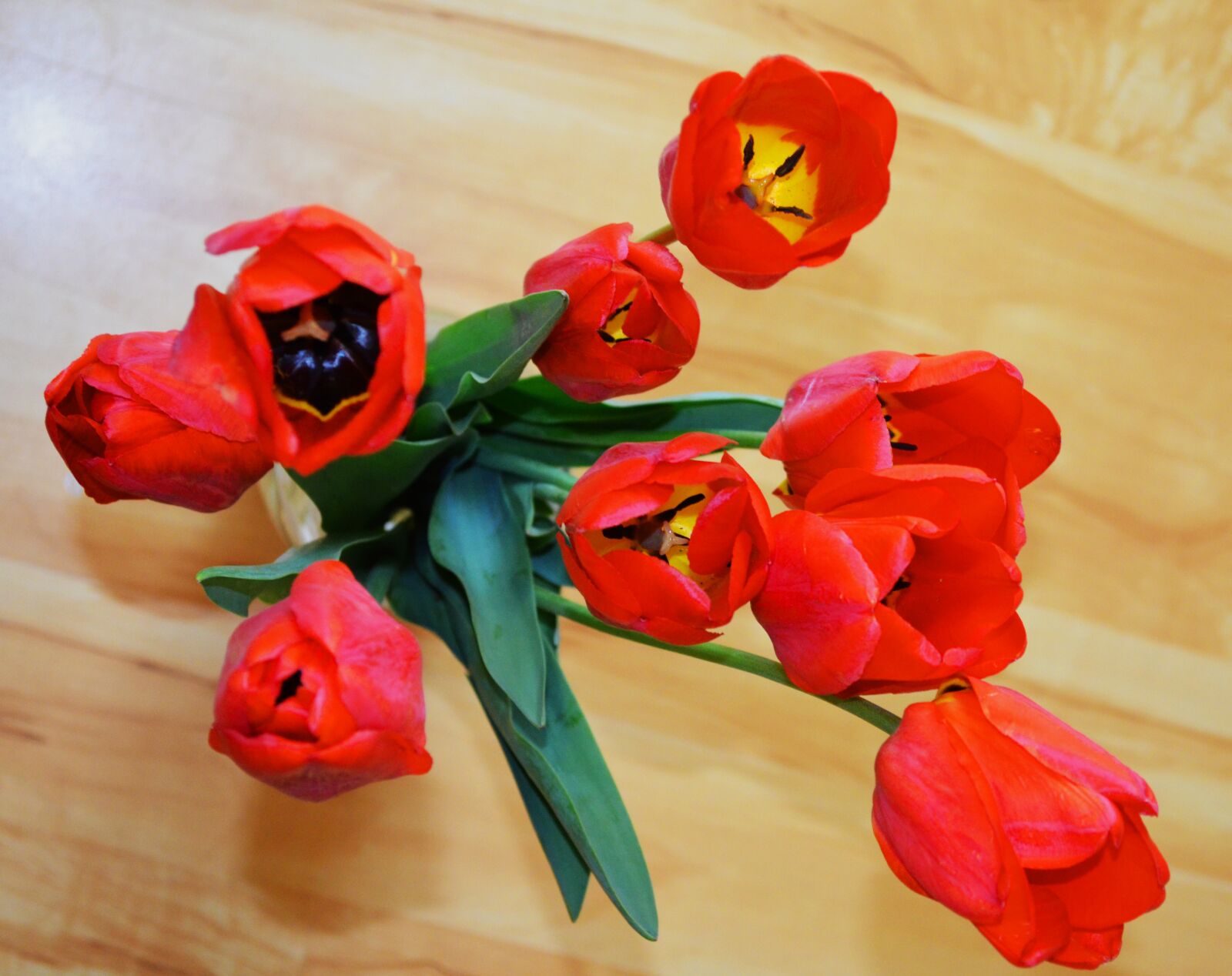 Nikon D5100 sample photo. Tulips, flowers, bouquet photography