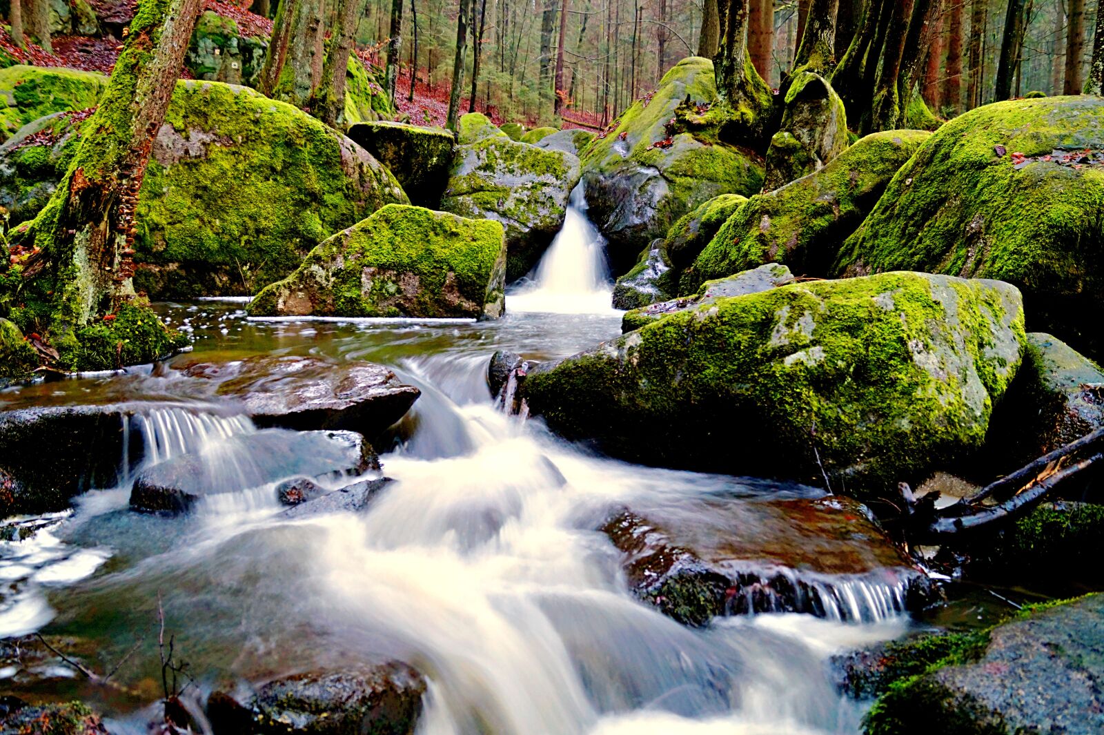 Sony SLT-A58 sample photo. Bach, river, water photography