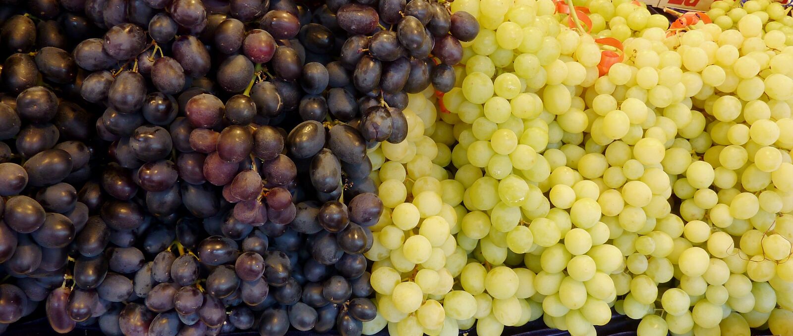 Panasonic DMC-TZ7 sample photo. Grapes, white grapes, blue photography