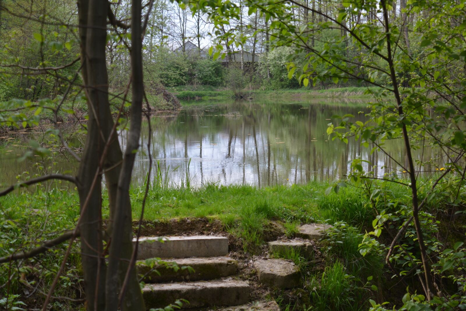 Nikon D5200 sample photo. Monolithic part of the photography