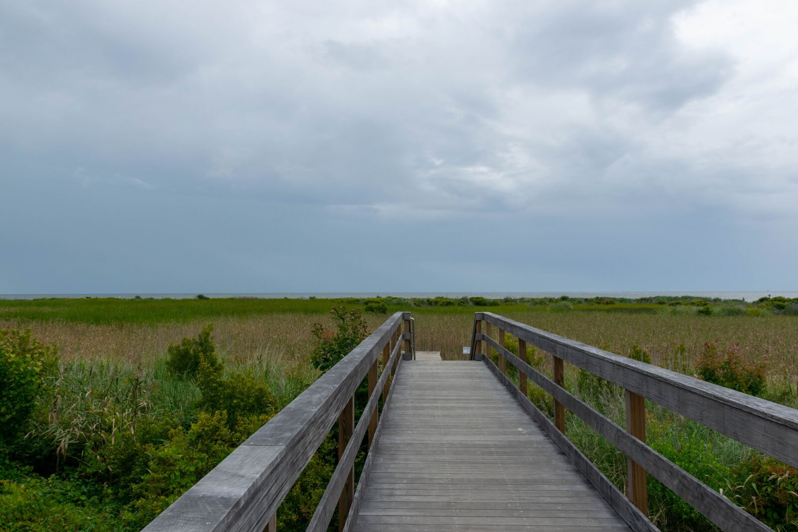 Nikon D5300 sample photo. Pier, walkway, boardwalk photography