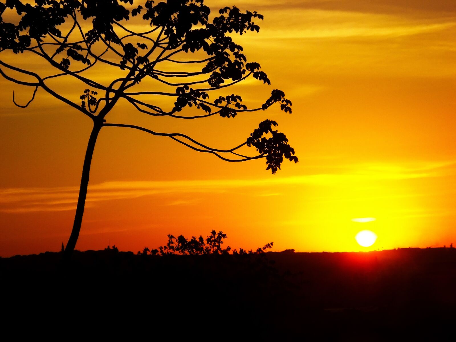Sony DSC-W35 sample photo. Horizon, sunset, landscape photography