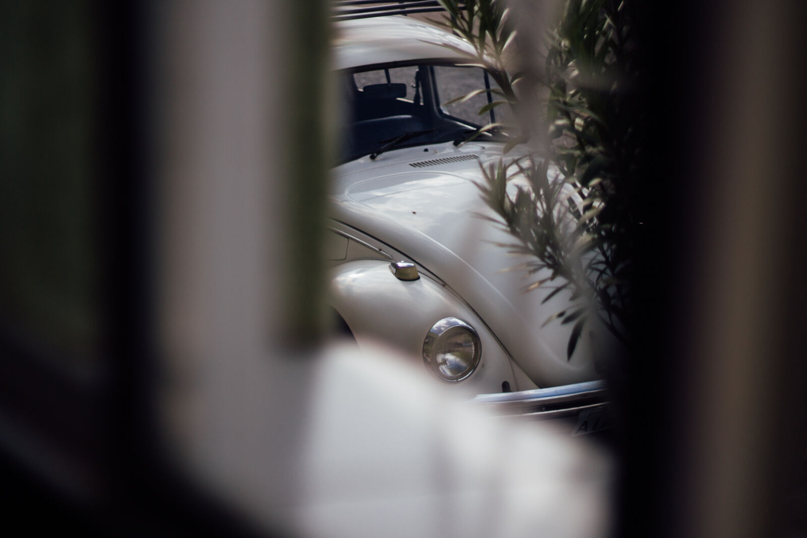 Canon EF 50mm F1.8 II sample photo. Fusca, old, car, volkswagen photography