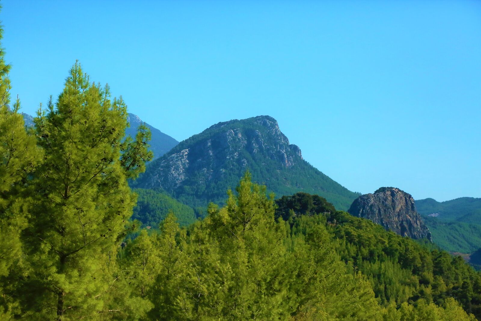 Canon EF 24-105mm F4L IS USM sample photo. Forest, mountains, nature photography