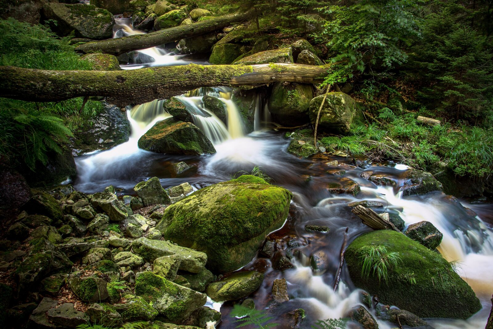 Nikon D7200 sample photo. Bach, long exposure, ilse photography