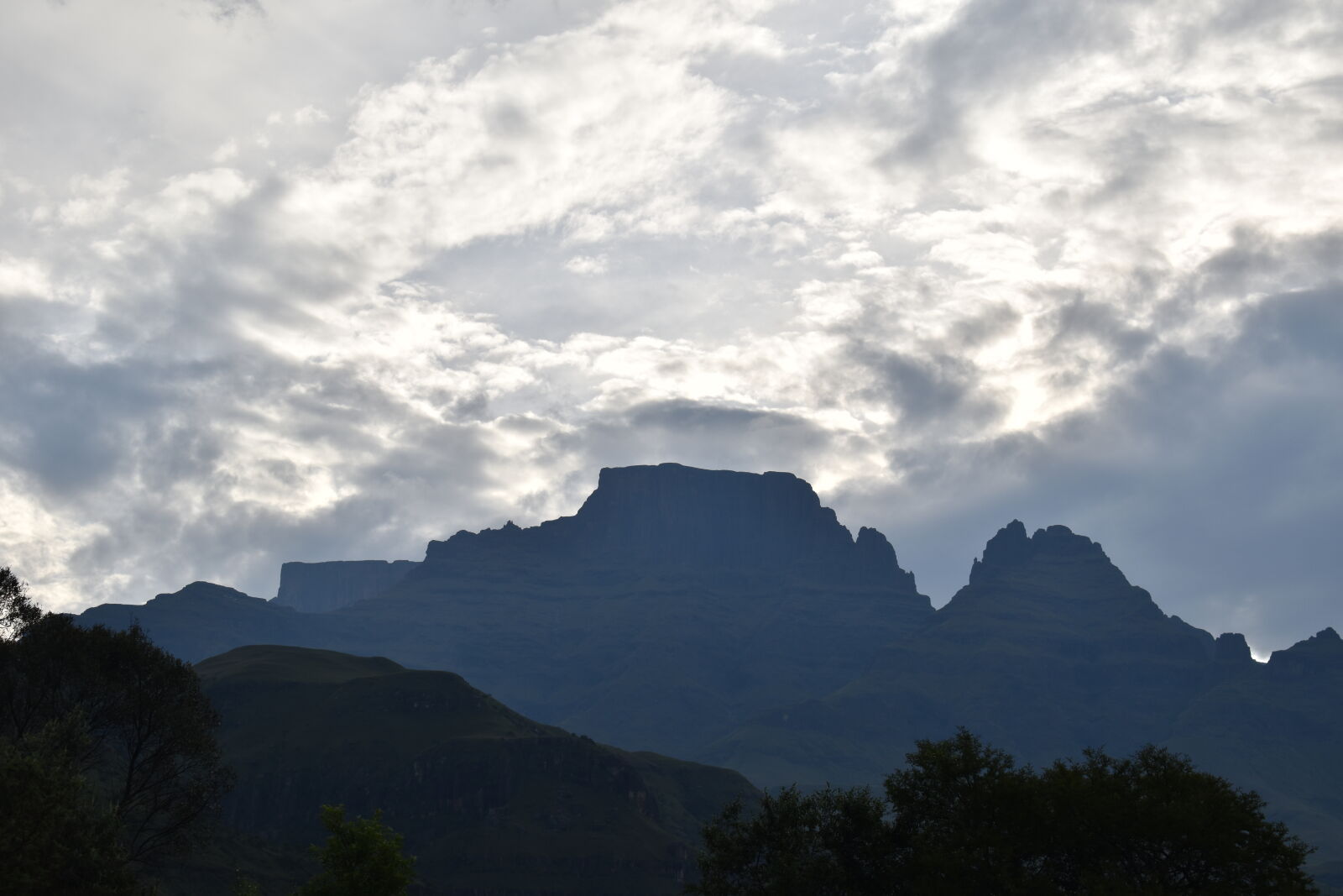 Nikon D3500 sample photo