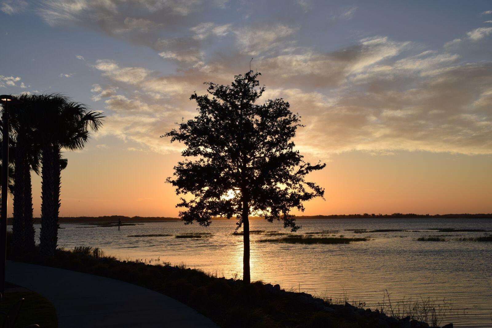 Nikon D5300 sample photo. Tree, lake, sunrise photography