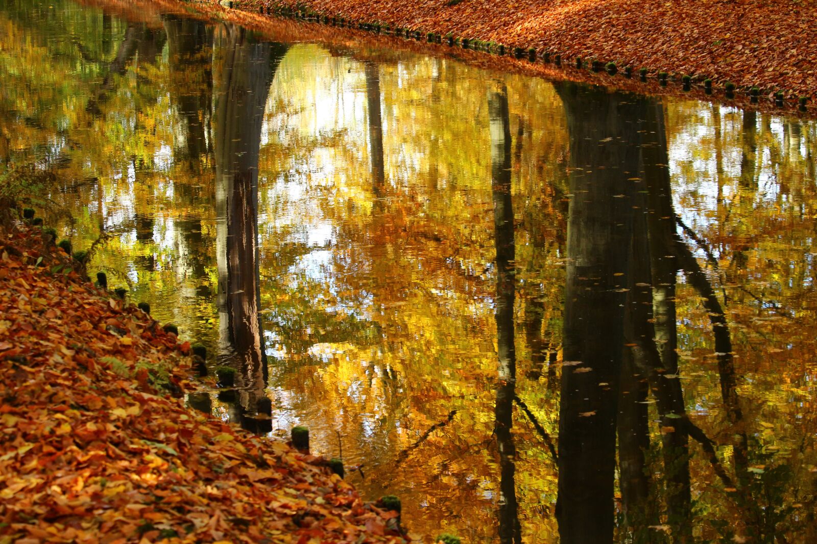 Canon EOS 100D (EOS Rebel SL1 / EOS Kiss X7) sample photo. Water, mirroring, autumn photography