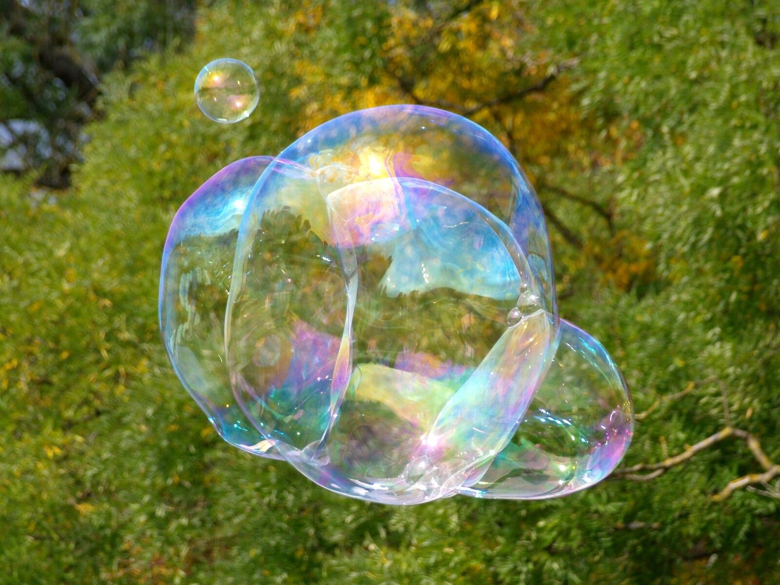Olympus E-400 (EVOLT E-400) sample photo. Soap bubble, blubber, large photography