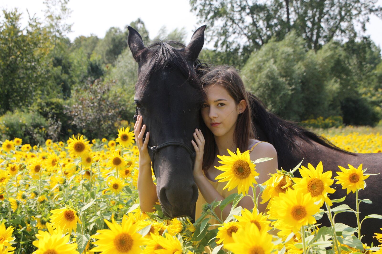 Canon EOS 450D (EOS Rebel XSi / EOS Kiss X2) sample photo. Horse, animal, girl photography