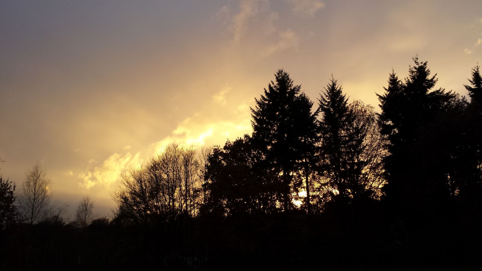 Samsung Galaxy S4 sample photo. Evening sun, shadow, against photography