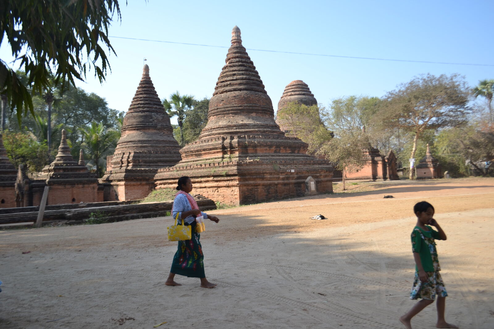 Nikon D3100 sample photo