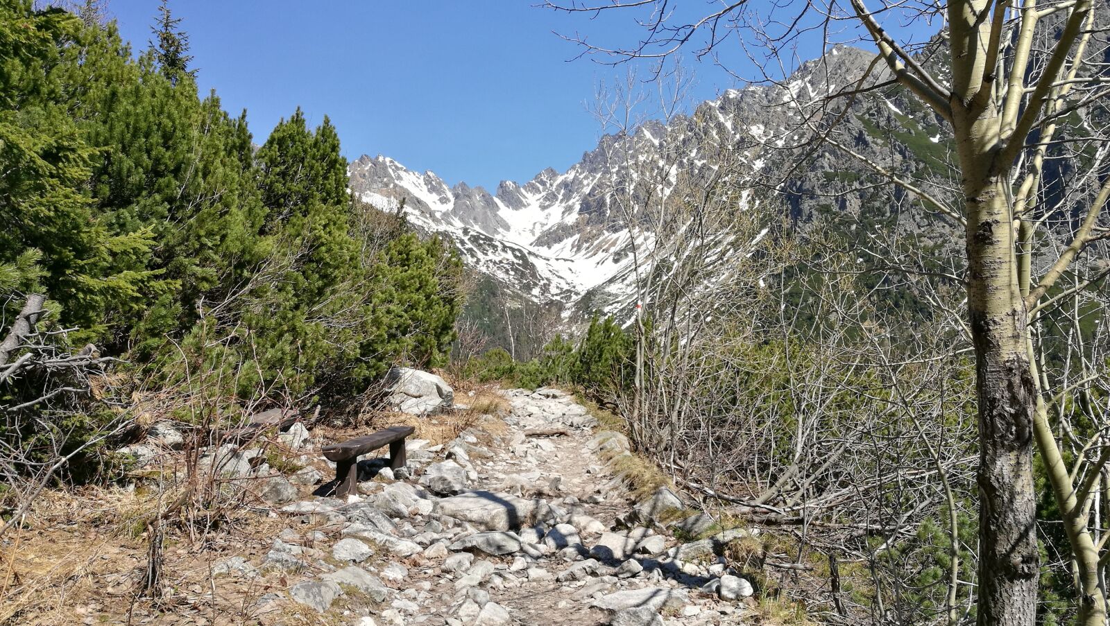 HUAWEI P9 sample photo. Vysoké tatry, nature, tatry photography