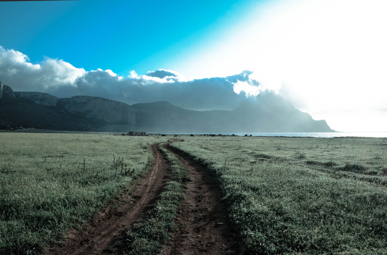 Fujifilm X-E2 sample photo. Crossroad, nature, countryside, blue photography