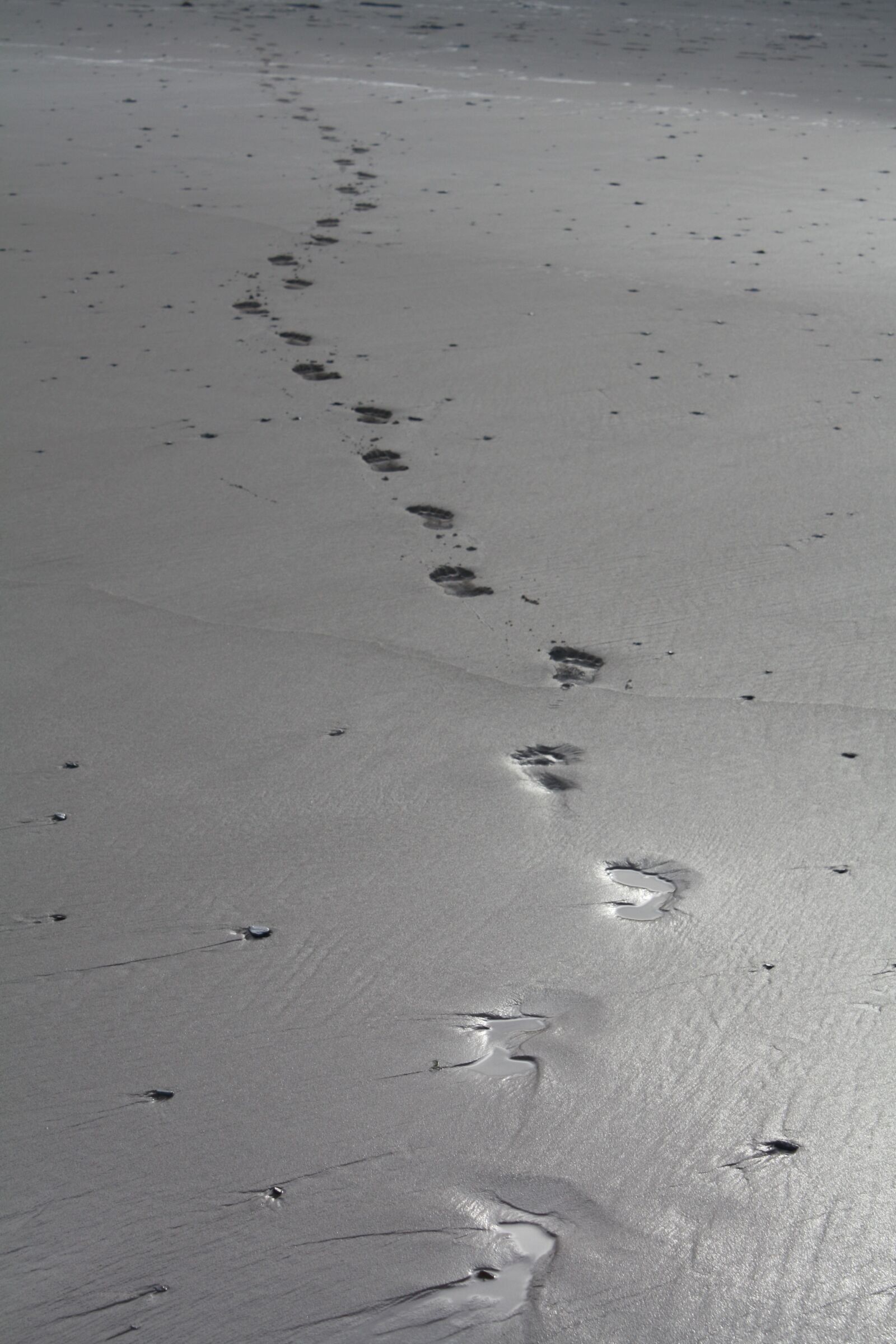 Canon EOS 450D (EOS Rebel XSi / EOS Kiss X2) sample photo. Sand, beach, footprints photography