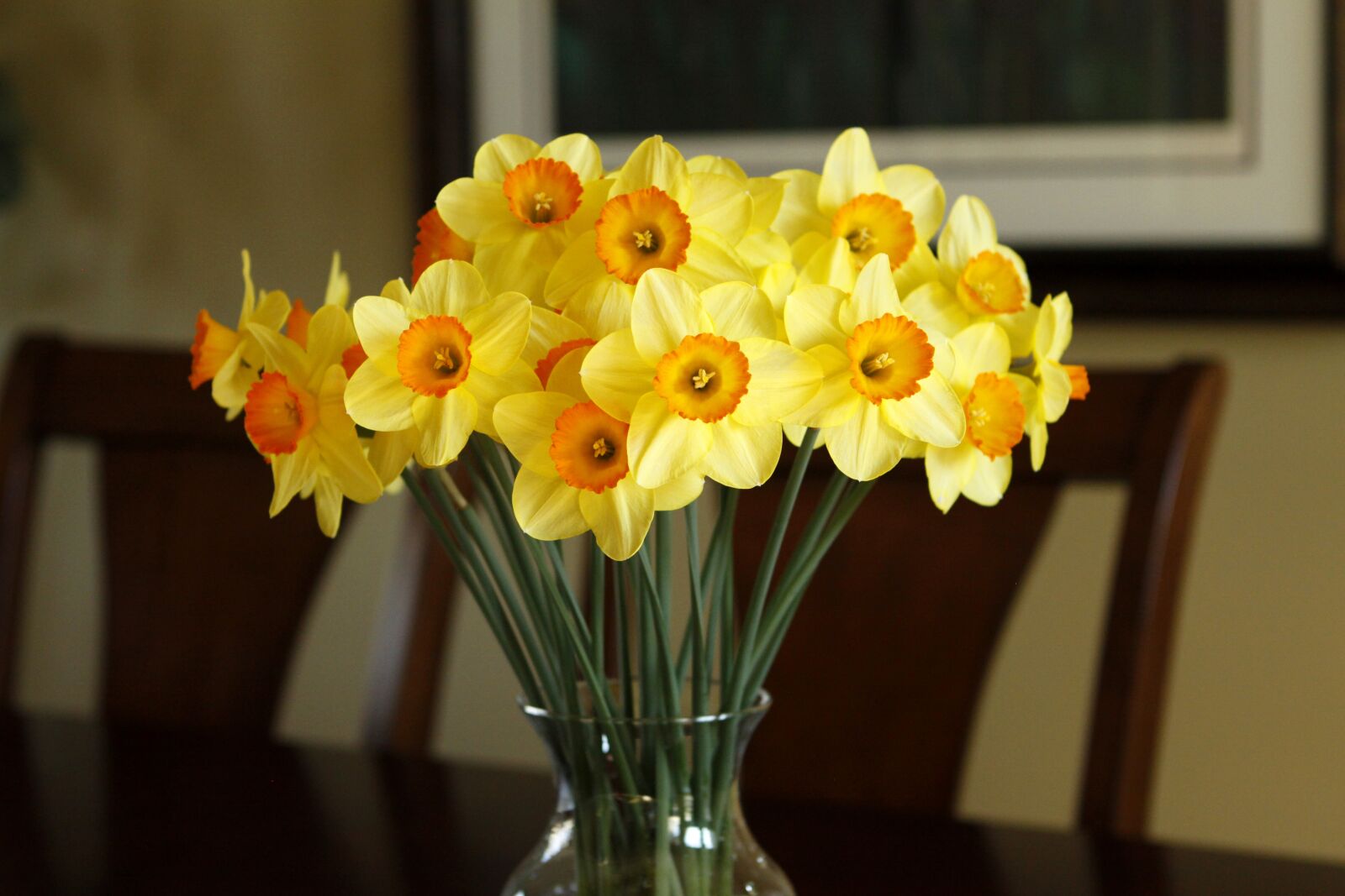 Canon EOS 50D sample photo. Lorem, ipsum, dolor photography