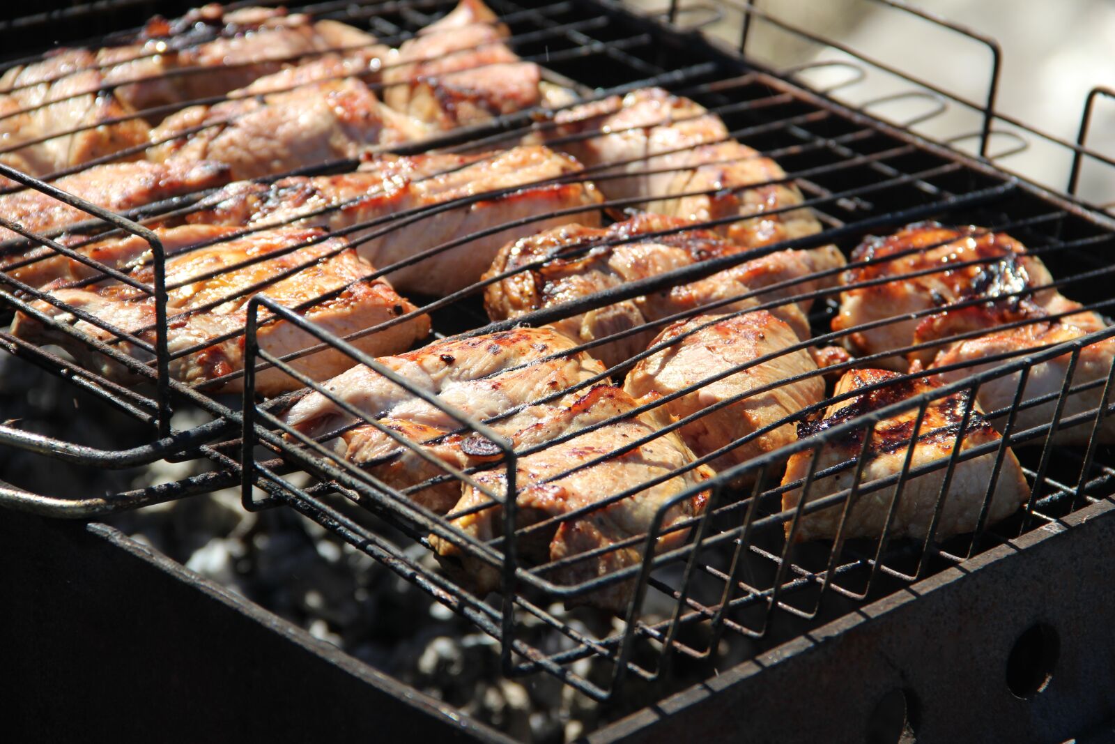 Canon EOS 600D (Rebel EOS T3i / EOS Kiss X5) sample photo. Shish kebabs, shish kebab photography