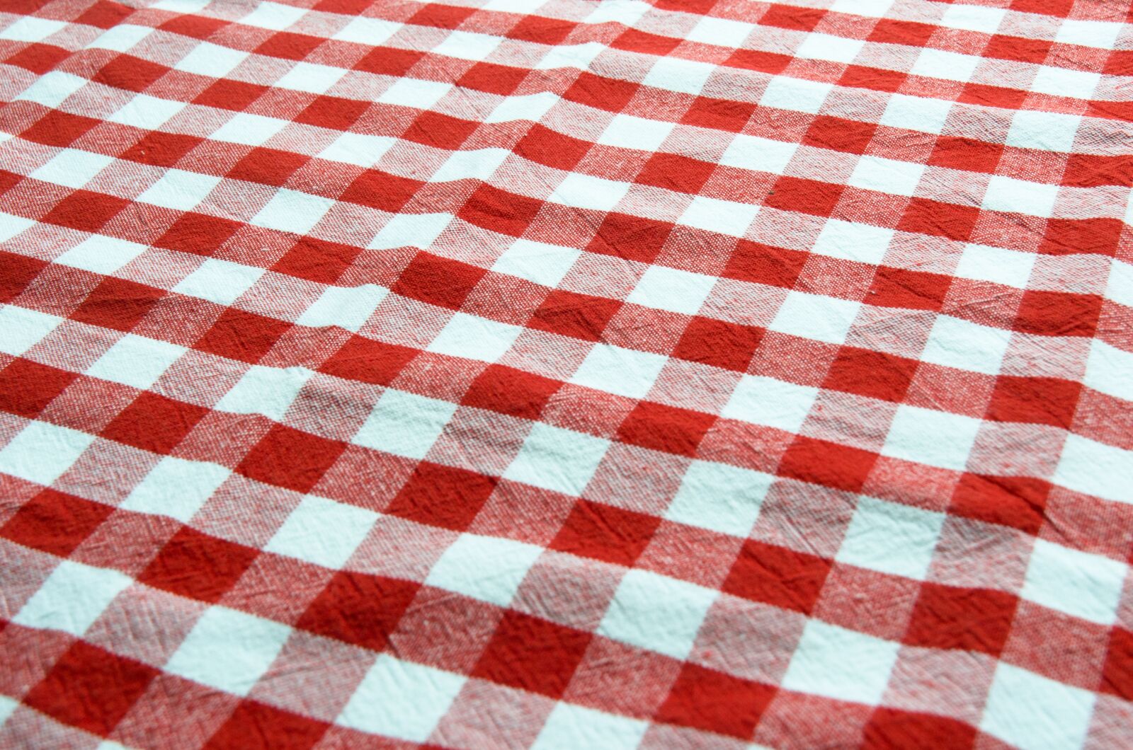 Nikon D5100 sample photo. Gingham, red, white photography