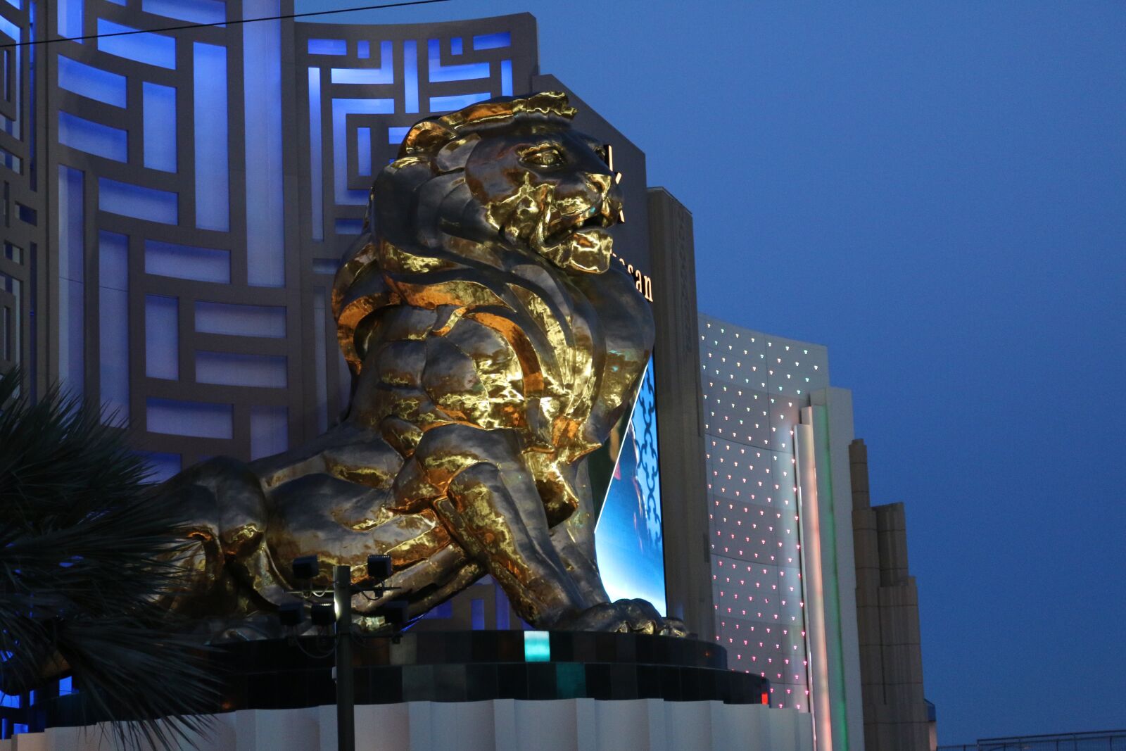 Canon EOS 70D sample photo. Las vegas, lion, golden photography