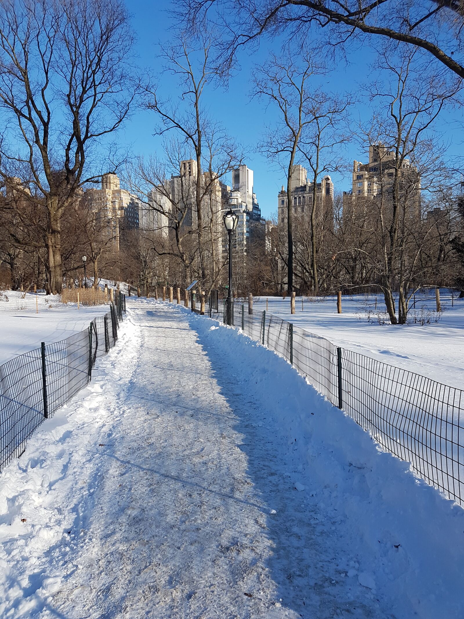 Samsung Galaxy S7 sample photo. New york, central park photography