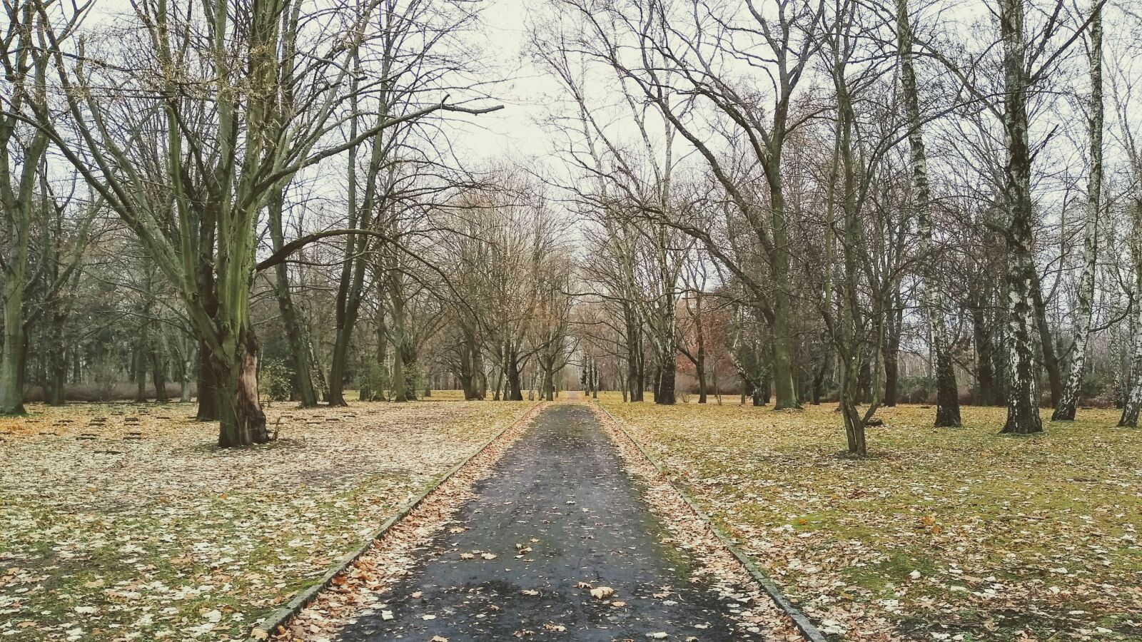 Motorola moto g(7) power sample photo. Germany, berlin, graveyard photography