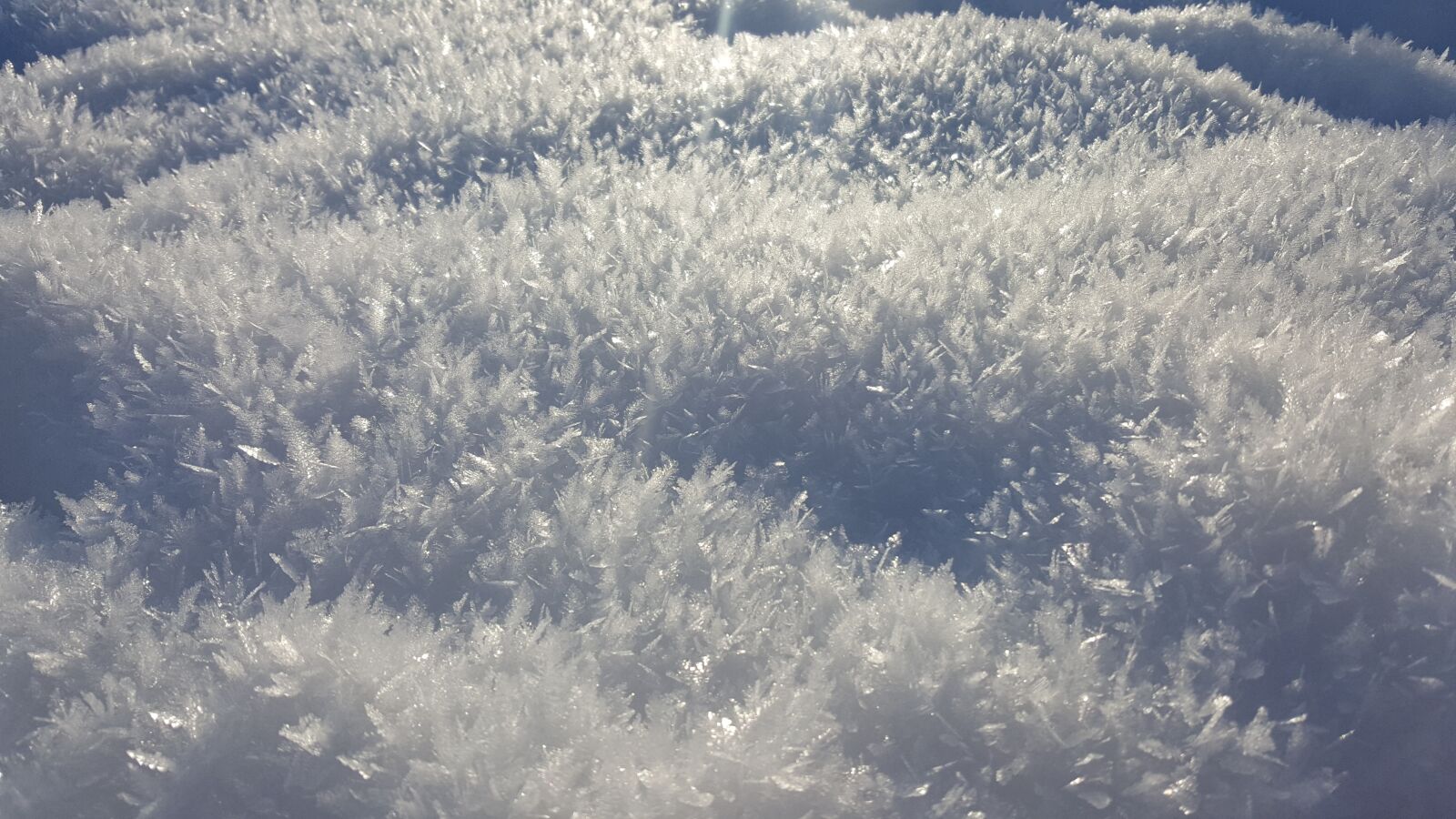 Samsung Galaxy S6 sample photo. Winter, snow, cold photography