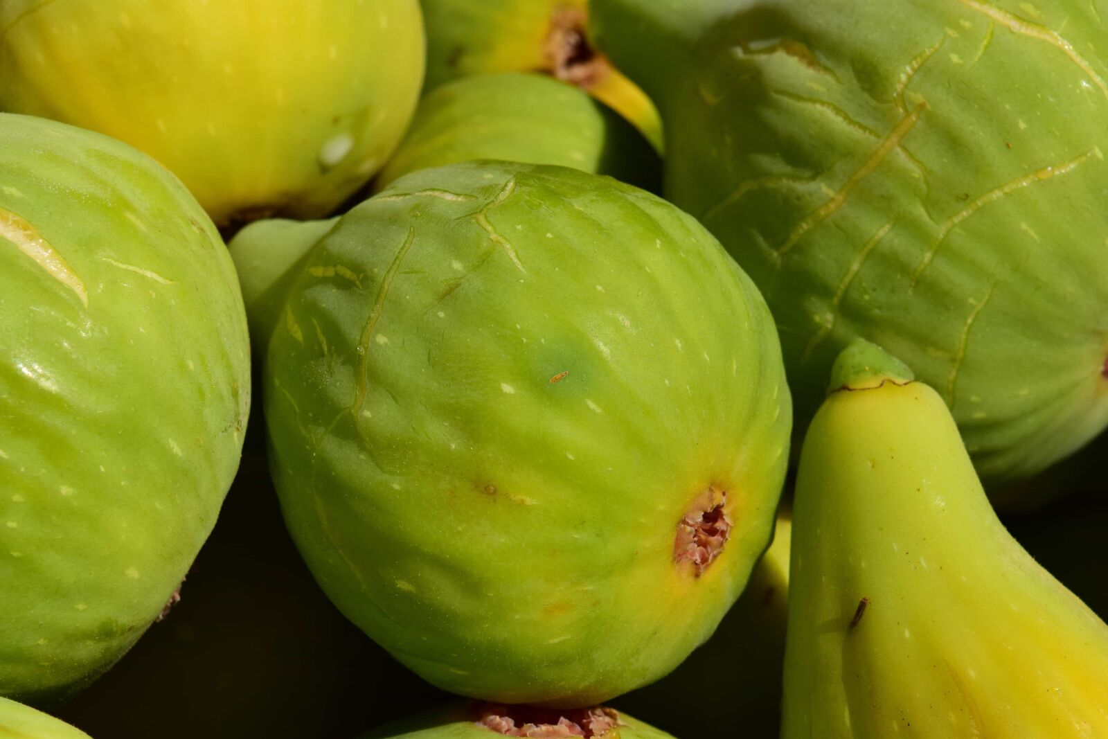 Nikon D3300 sample photo. Food, nutrition, nature, fruit photography