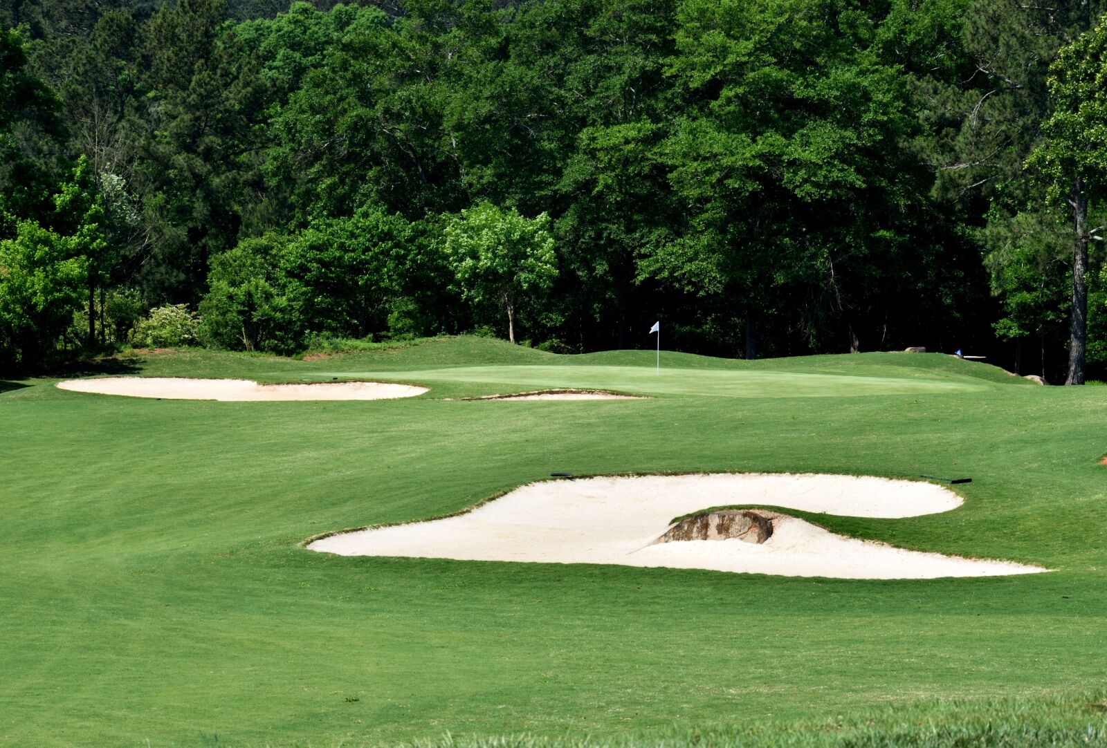 Nikon D3300 sample photo. Golf course, sand trap photography