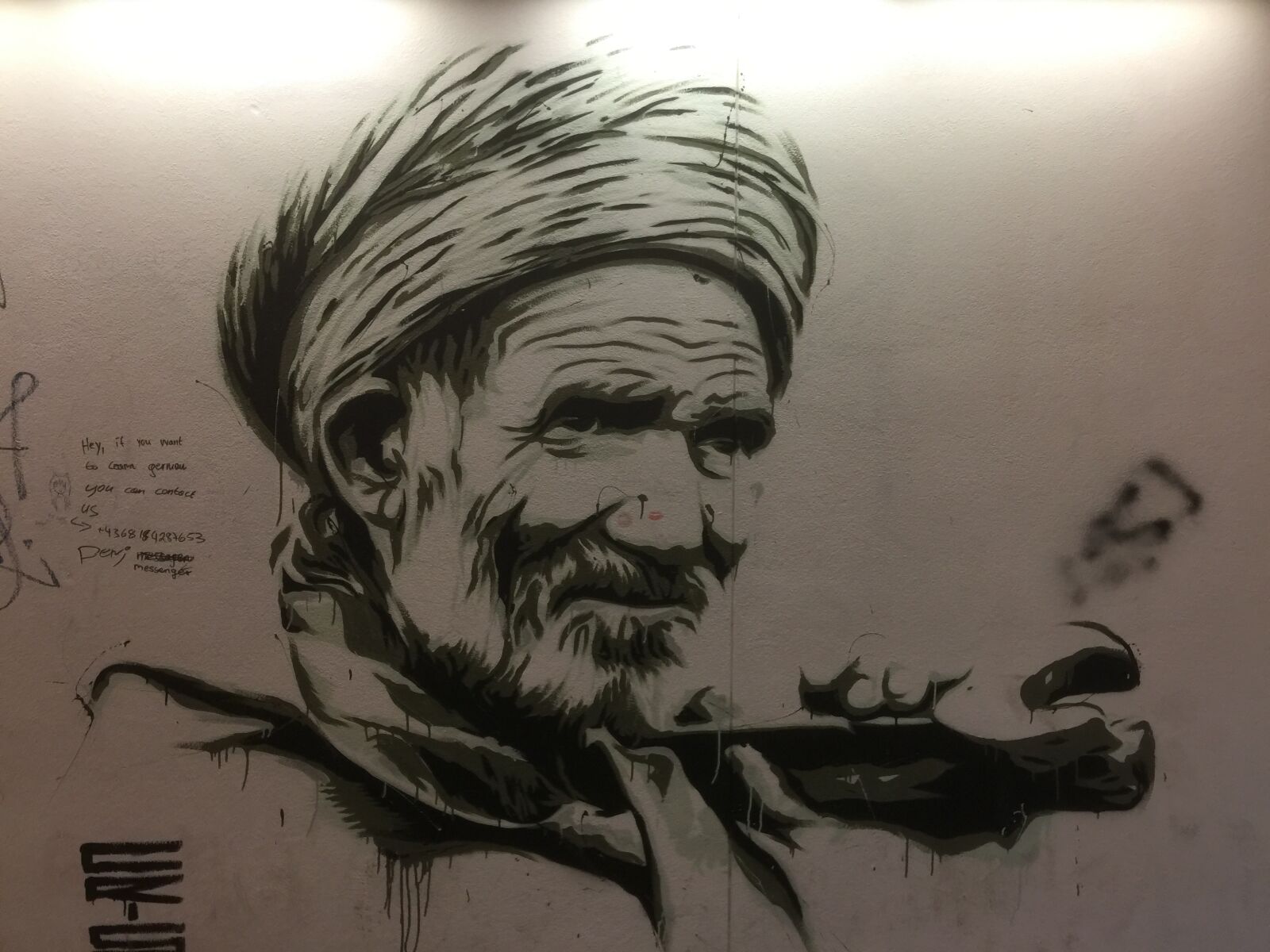 iPhone 6 Plus back camera 4.15mm f/2.2 sample photo. Street art, graffiti, salzburg photography