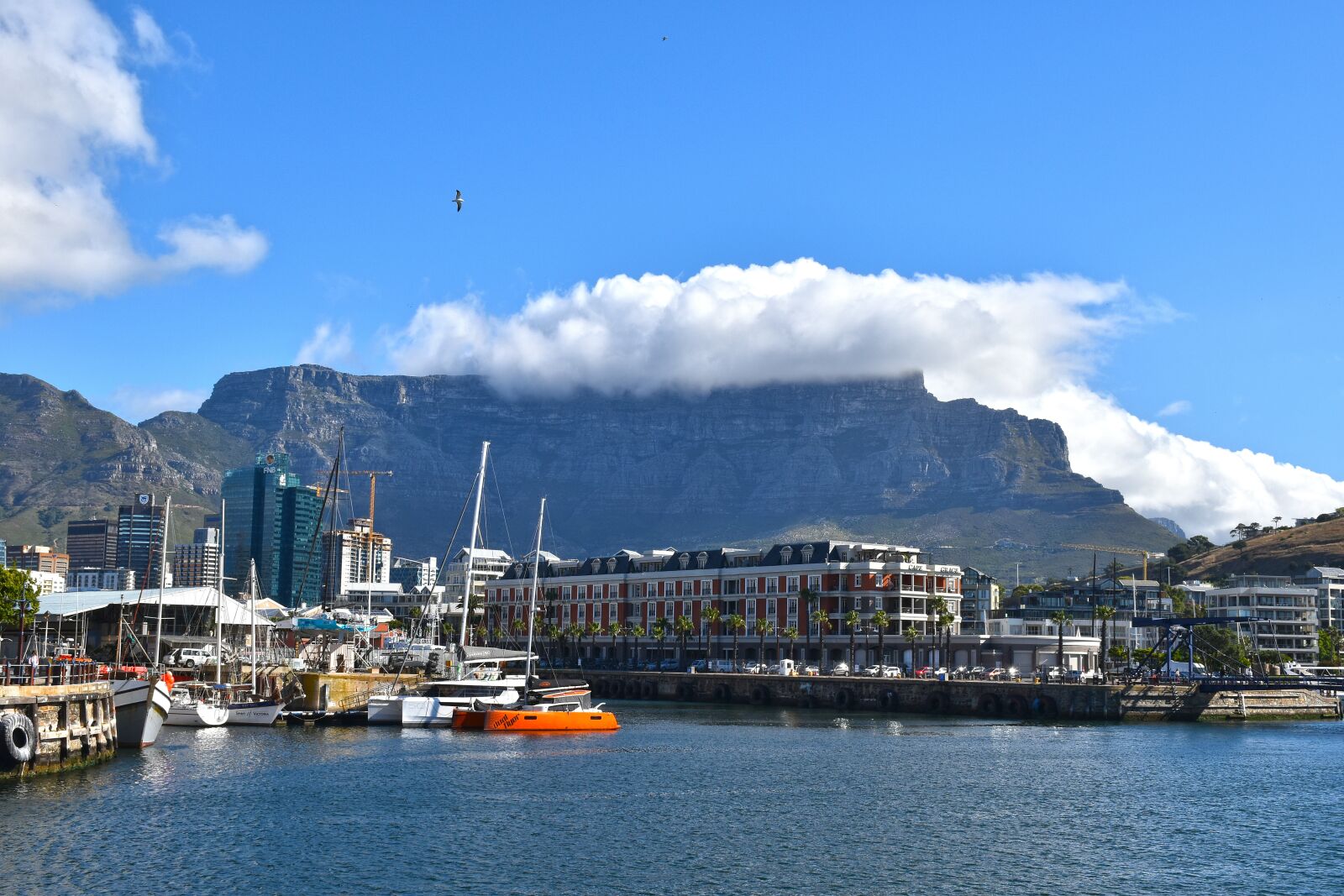 Nikon D5600 sample photo. Cape town, city, africa photography