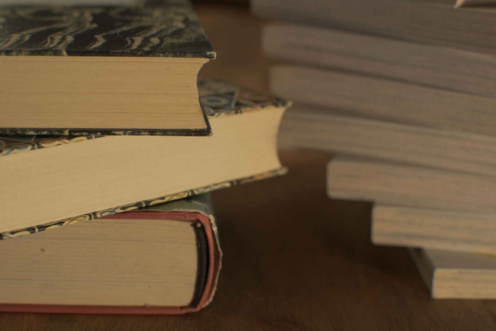 Nikon D3300 sample photo. Literature, education, wood photography