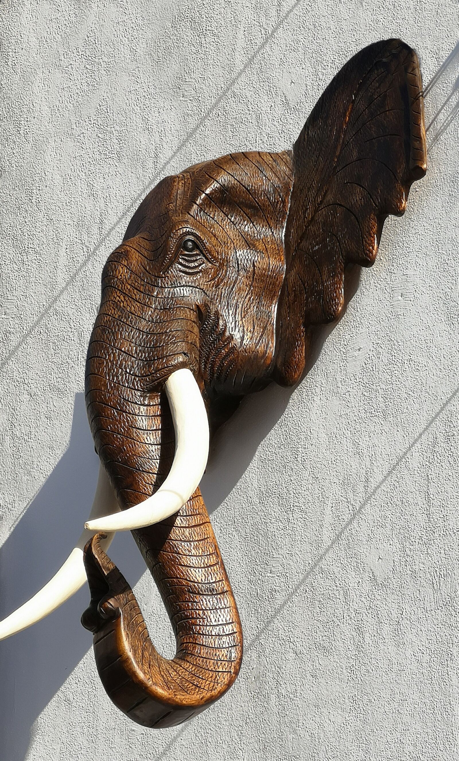 HUAWEI CLT-L29 sample photo. Elephant, pachyderm, trunk photography