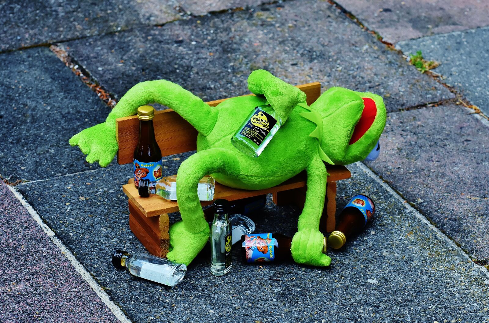 Nikon D7200 sample photo. Kermit, frog, drink photography