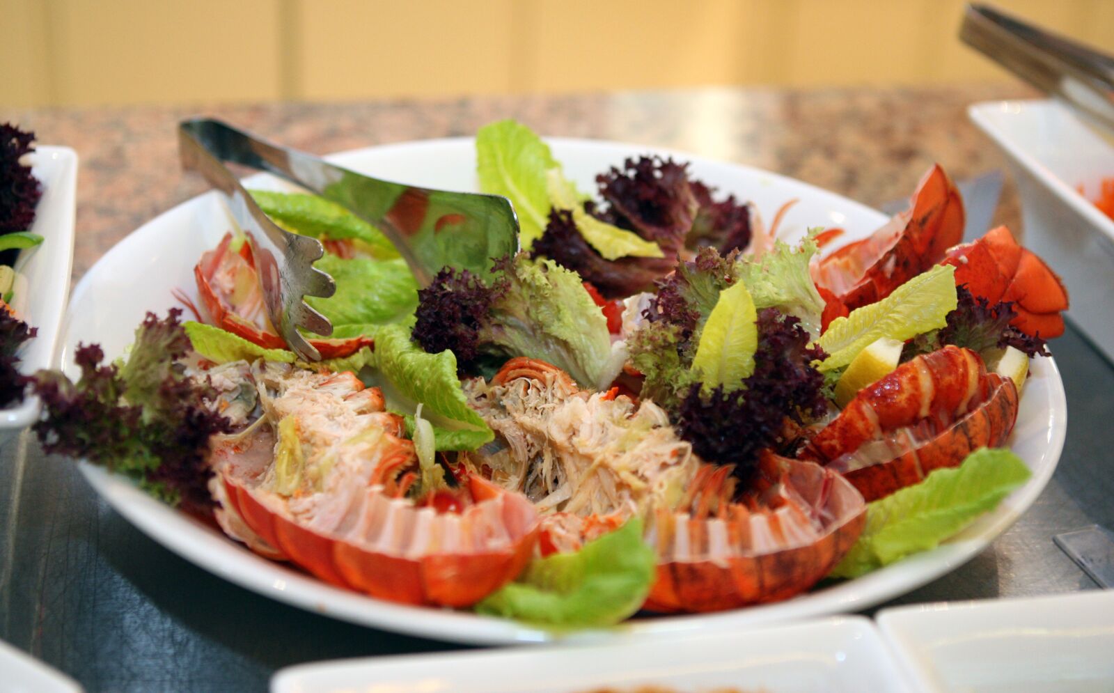 Canon EOS-1D Mark III sample photo. Fried lobster with vegetable photography