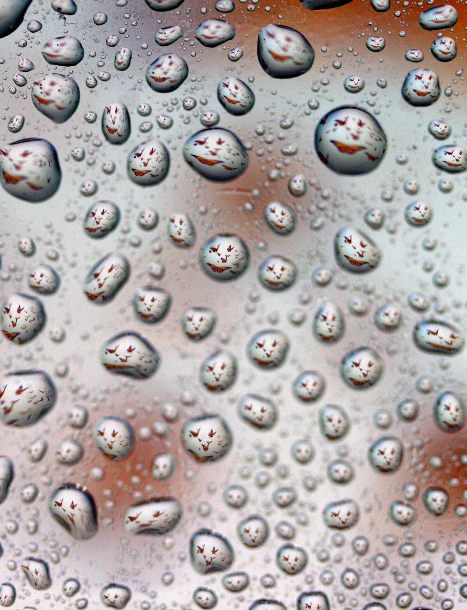 Canon EF-S 60mm F2.8 Macro USM sample photo. Drops, reflection, water photography