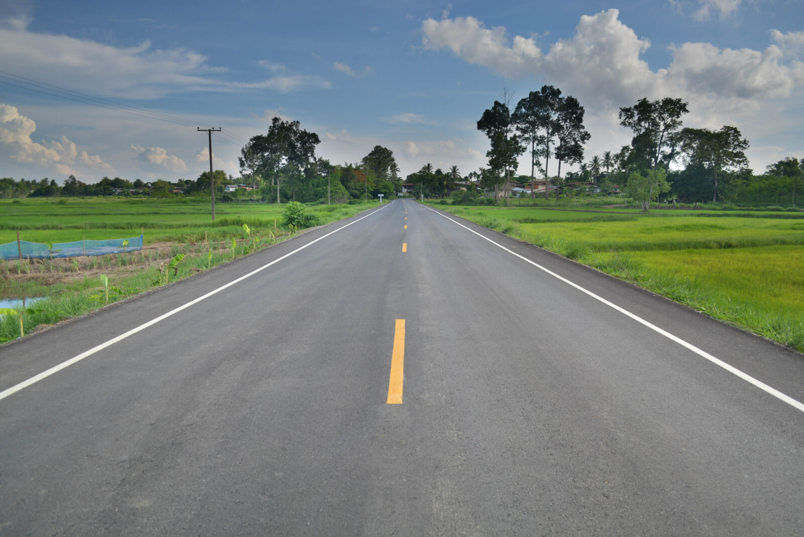 Nikon D5200 sample photo